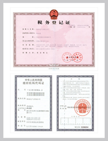 Tax registration certificate / organization code certificate